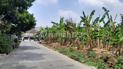 Tanah Murah Siap Bangun Strategis di Ngaliyan A5397 1