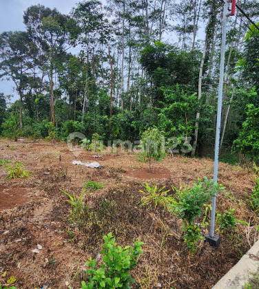 Tanah Luas Siap Bangun Strategis Di Mijen A4954 1