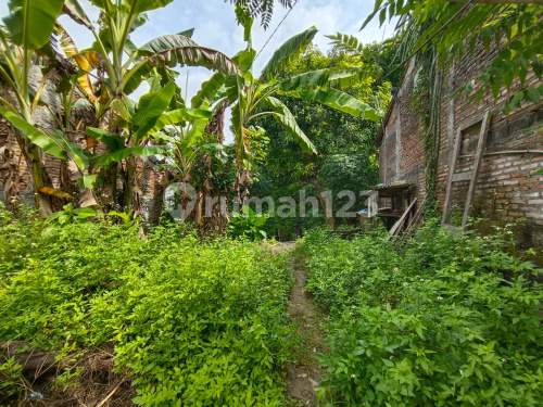 Tanah Murah Siap Bangun Sejuk Di Gunung Pati A4792 1