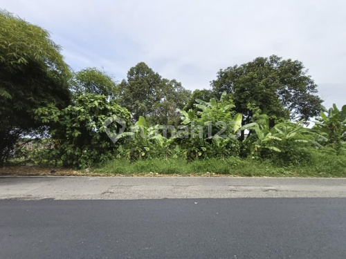 Tanah Luas Siap Bangun Strategis Di Ngaliyan A4705 1