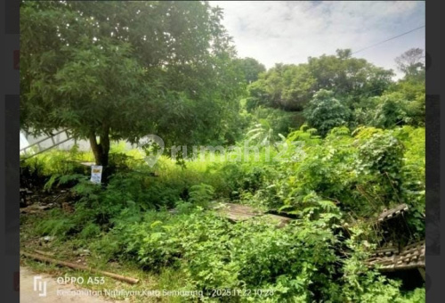 Tanah Siap Bangun Murah di Ngaliyan A5130 1