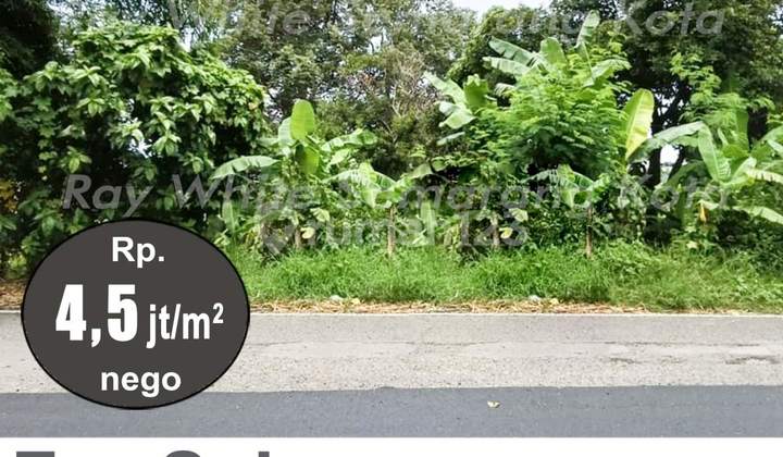 Tanah Luas Siap Bangun Strategis Di Ngaliyan A4705 2