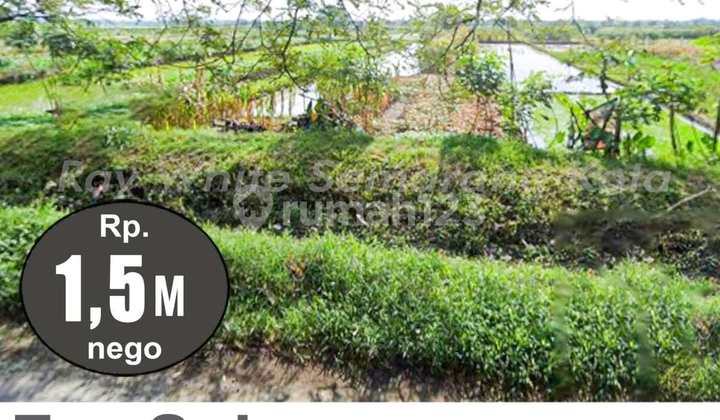 Tanah Siap Bangun Murah Di Mranggen A4757 Tanah Siap Bangun Murah Di Mranggen A4757