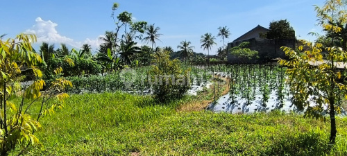Tanah Luas Strategis Di Jampirejo Temanggung A4992