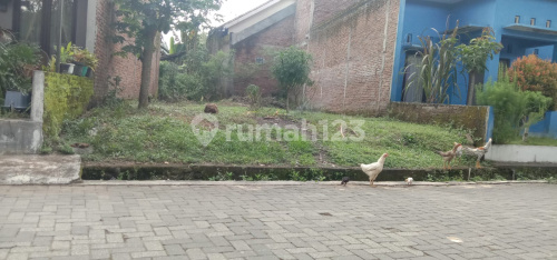 Tanah Siap Bangun Murah di Mertoyudan Magelang A5442