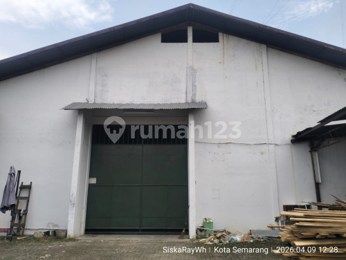 Good Strategic Ready-to-Use Warehouse in Tugu A5428 1