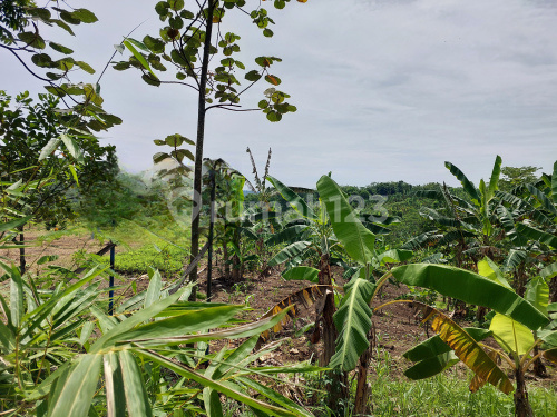 Tanah Luas Siap Bangun Di Gunung Pati A4943 1