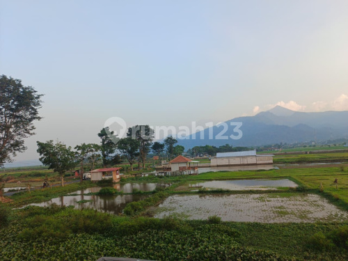 Tanah Luas Strategis Murah Di Ambarawa A4613 Tanah Luas Strategis Murah Di Ambarawa A4613