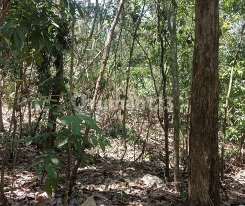 Tanah Murah Siap Bangun Di Gunung Pati A4781 1