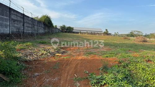 Large, Cheap Land Ready to Build in Mlonggo Jepara A5180