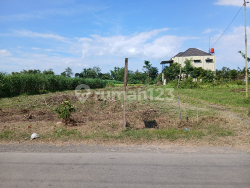 Large Land Ready to Build in Margorejo Pati A5322
