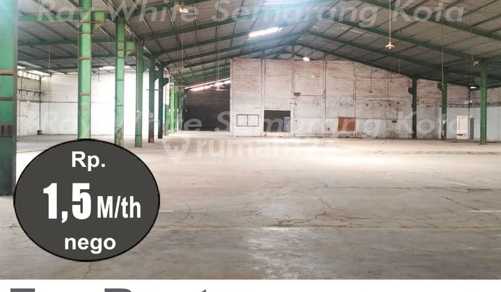 Large, Ready-to-Use, Good Warehouse at Tugu A5427 2
