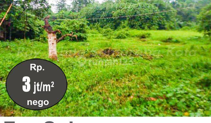 Tanah Bagus Strategis Di Kandeman Batang A3616 2