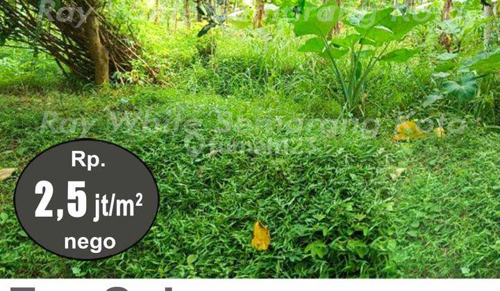Tanah Bagus Strategis Di Ungaran Timur A3857 2