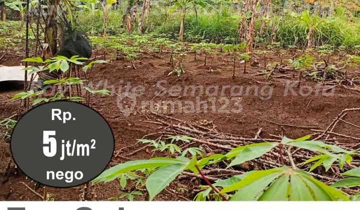 Tanah Siap Bangun Strategis Di Semarang Barat A4939 2