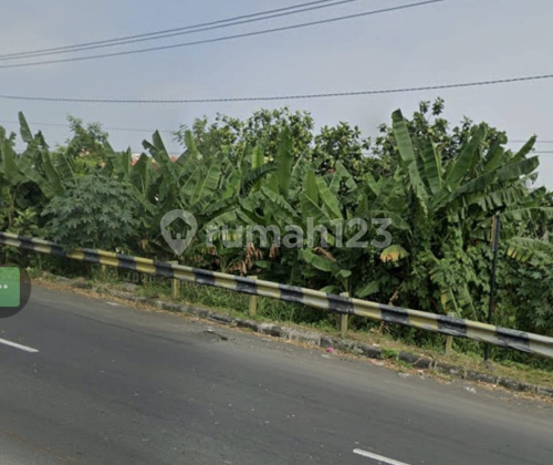 Strategic Large Ready-to-Build Land in Ngaliyan A5301 1