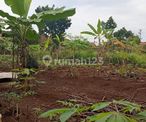 Strategic Build-Ready Land in West Semarang A4939