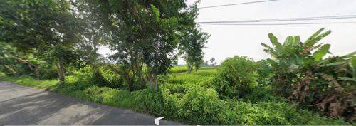 Tanah Bagus Luas Di Ketunggeng Magelang A3739 1