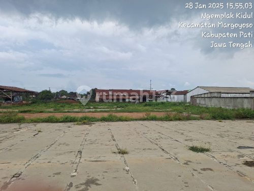 Large Land With Building In Ngemplak Pati A4724