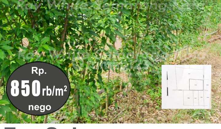 Tanah Siap Bangun Strategis Dalam Cluster di Bsb Mijen A5470 2