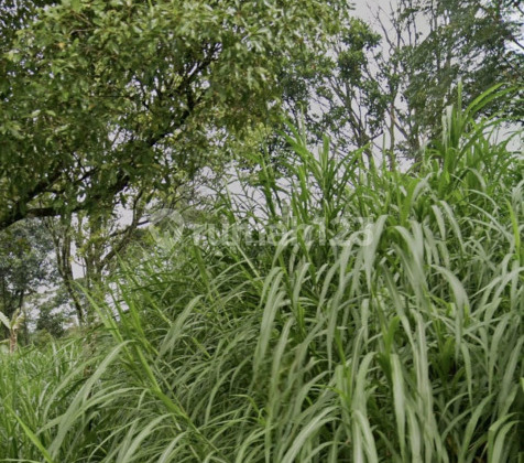 Tanah Siap Bangun Strategis Di Boja Kendal A4988