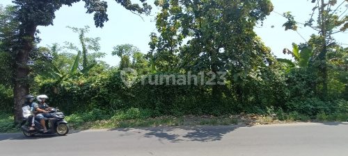 Tanah Siap Bangun Strategis di Ngaliyan A5483 1