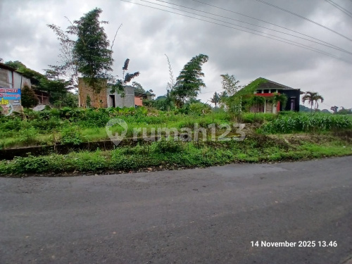 Tanah dan Bangunan Bagus Luas Di Boja Kendal A4944