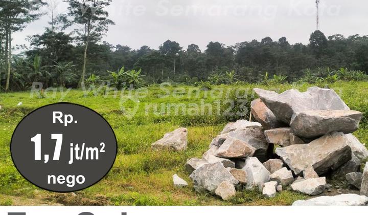 Tanah Luas Siap Bangun Ada 6 Tanah di Wringin Putih Bergas A5234 2