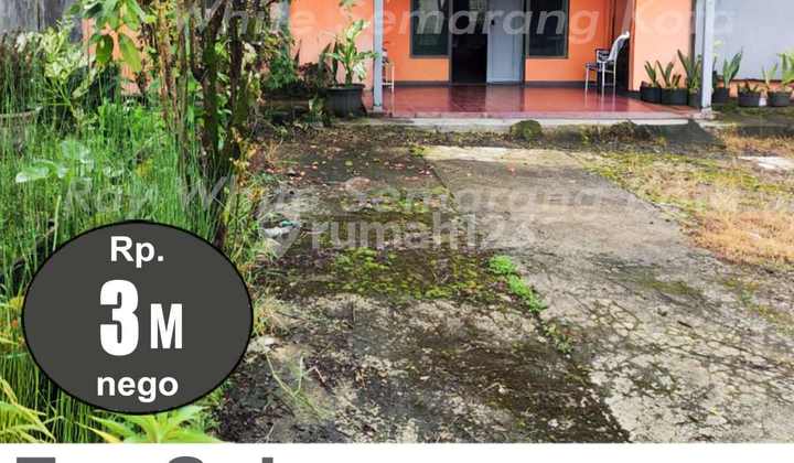 Spacious Yard House Ready to Occupy in Wonobungkah Wonosobo A4906