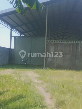 Gudang Murah Siap Pakai di Mranak Demak A5497