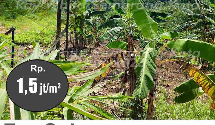 Tanah Luas Siap Bangun Di Gunung Pati A4943 2