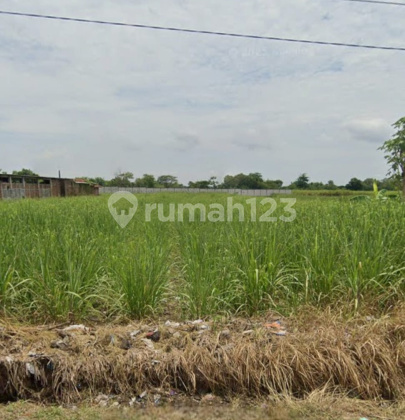 Tanah Luas Murah Strategis di Gondoharum Kudus A5498