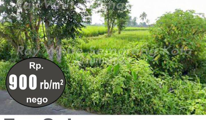Tanah Bagus Luas Di Ketunggeng Magelang A3739 2
