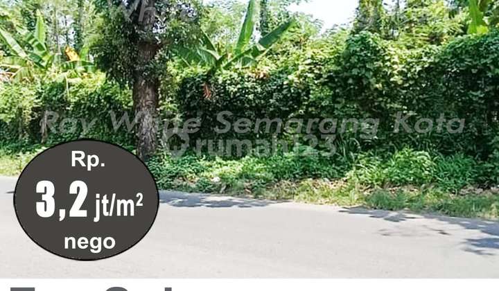 Tanah Siap Bangun Strategis di Ngaliyan A5483 2
