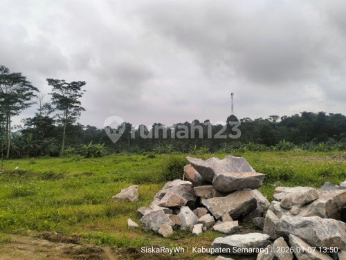 Tanah Luas Siap Bangun Ada 6 Tanah di Wringin Putih Bergas A5234 1