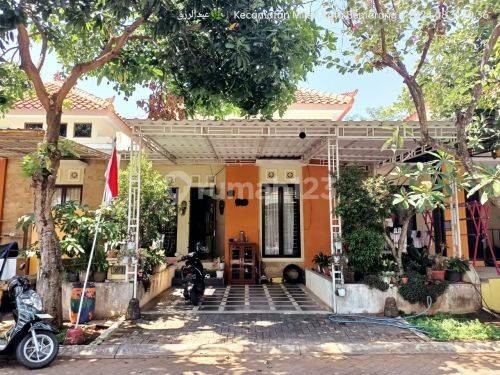 Rumah Jual Bagus Dan Asri di Mijen A1855 1