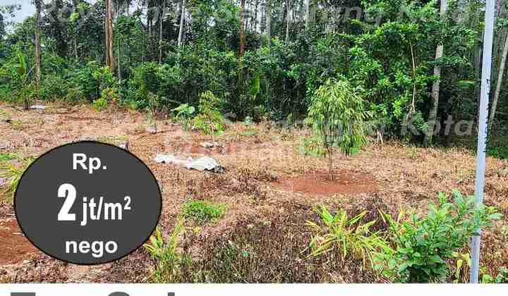 Tanah Luas Siap Bangun Strategis Di Mijen A4954 2