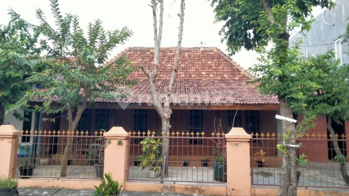 Joglo House Price Reduced Good Ready to Occupy in Pedurungan A4582 2