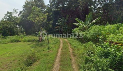Tanah Murah Luas Siap Bangun di Gunung Pati A5516 1