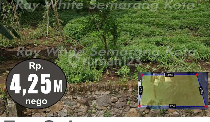 Strategic Build-Ready Land in Ngaliyan A5358 2