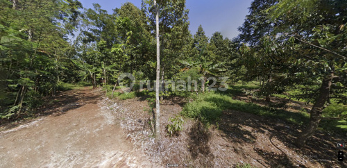 Tanah Siap Bangun Strategis Di Mijen A4487 2