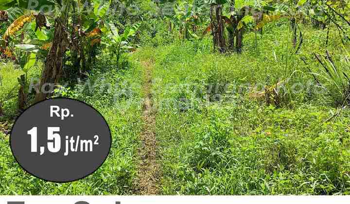 Tanah Siap Bangun Bagus Di Gunung Pati A4942 2