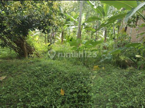 Tanah Bagus Strategis Di Ungaran Timur A3857 1