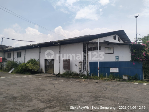 Large, Ready-to-Use, Good Warehouse at Tugu A5427 1