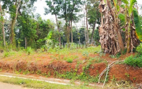 Tanah Murah Siap Bangun di Sinanggul Mlonggo Jepara A1703