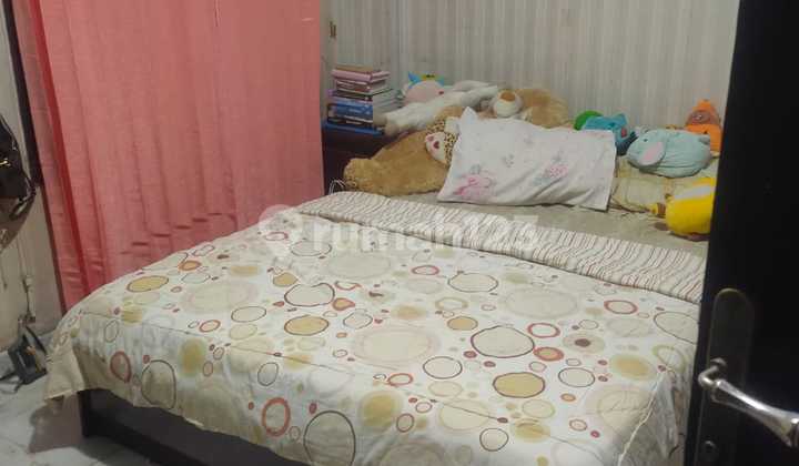 Rumah Kayu Putih Jual Bu 2