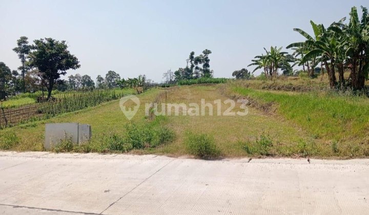 DIJUAL TANAH JALAN KETAPANRAME TRAWAS - JALAN COR DIJUAL TANAH JALAN KETAPANRAME TRAWAS - JALAN COR