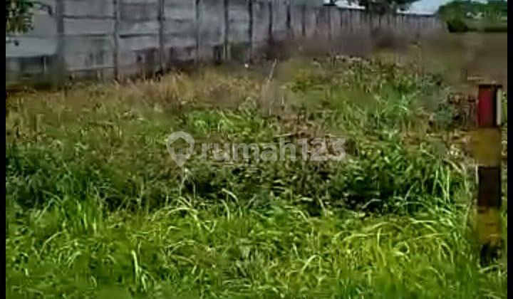 Dijual Tanah Widang Tuban