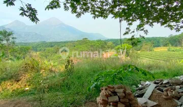 Lahan siap bangun, Raya Trawas Mojokerto.  6