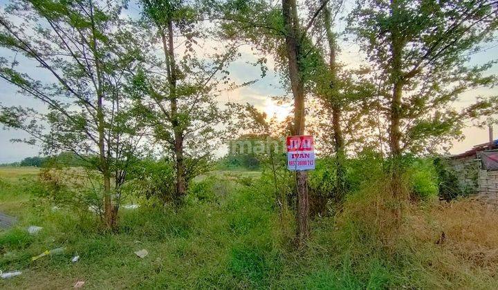 Lahan depan pabrik  Meiji Bangil Pasuruan.  6